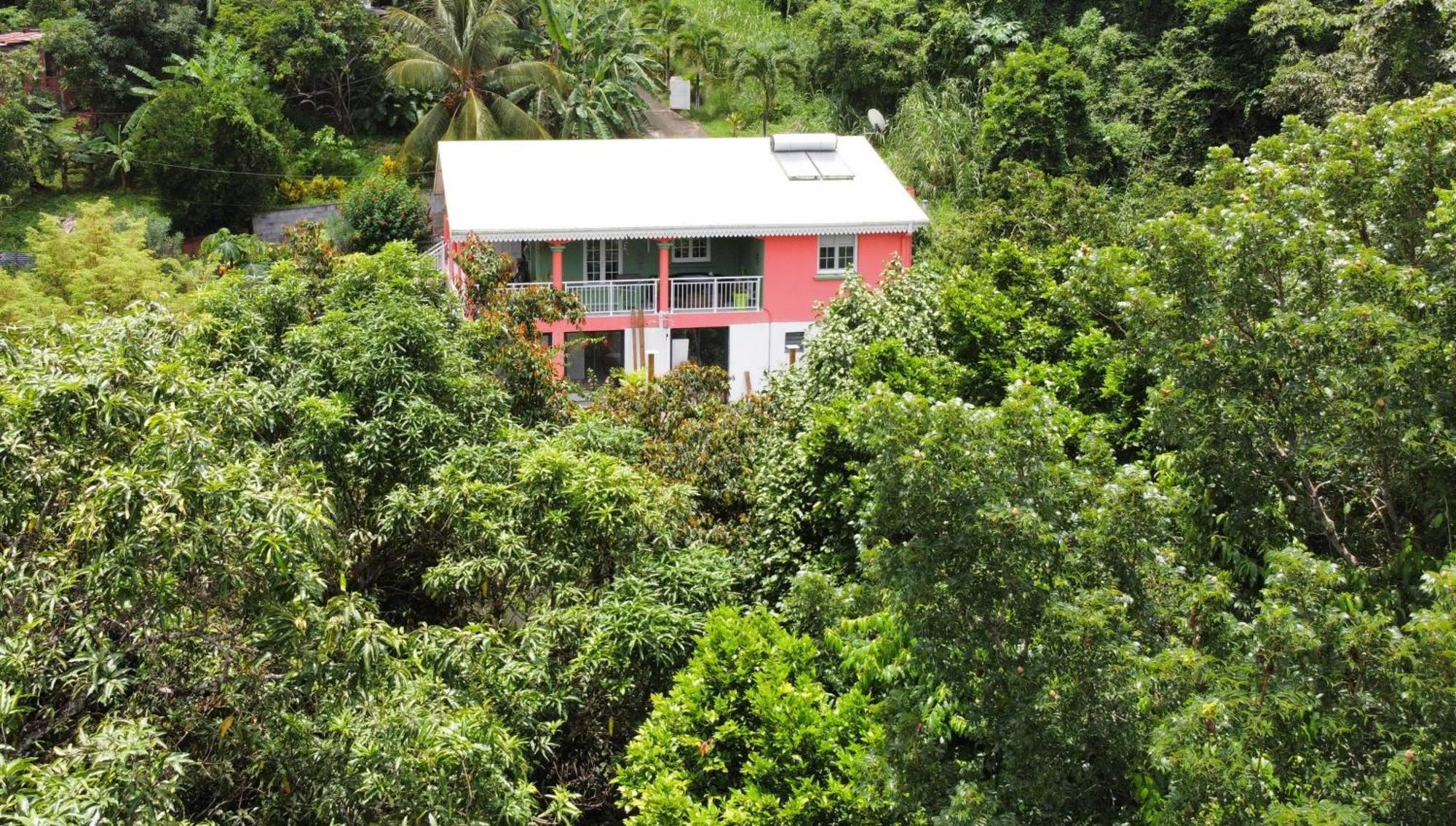 Ferienwohnung Le Long Island Rivière-Pilote Exterior foto
